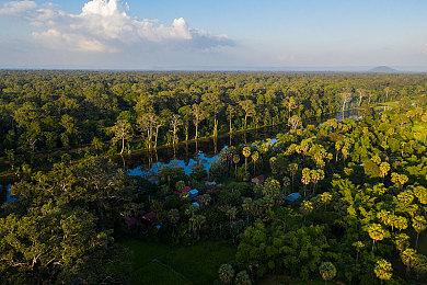 《怪物猎人：荒野》操虫棍介绍 明年正式发售